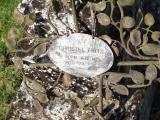image of grave number 143292